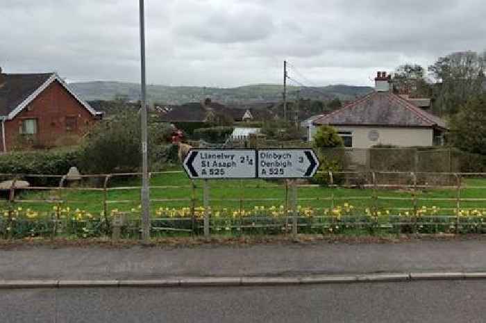 Protesters paint over 'unnecessary' English place names on road signs