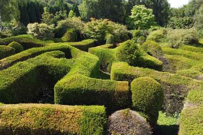 The biggest garden maze in the world where some people 'get up to mischief'