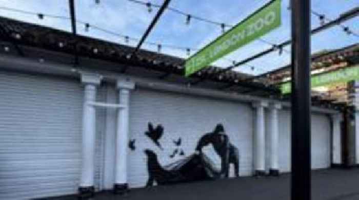 Banksy's latest work appears on London Zoo gates