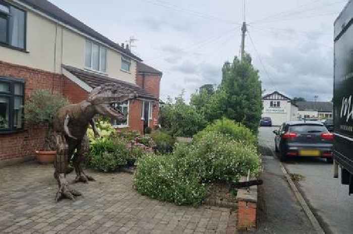 Dad buys £5,000 7ft-tall T-Rex statue for dino-mad son's 21st birthday