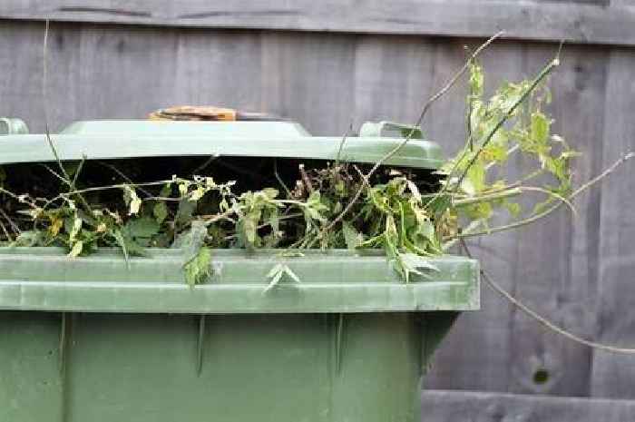 Gardeners warned of £5,000 fines for common garden waste mistake