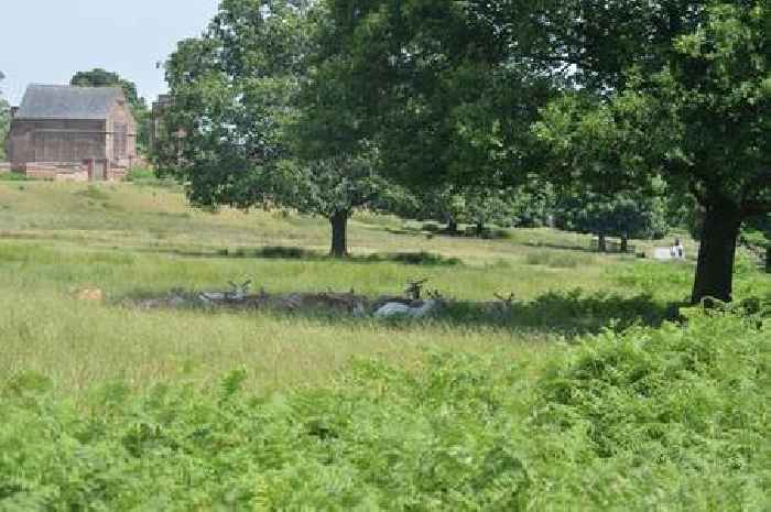 It's time to crown Leicestershire's best park from our shortlist