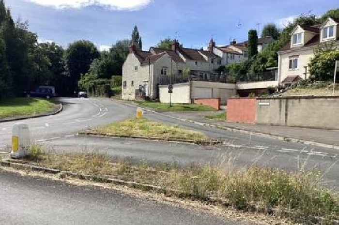 Fears village roads are so dangerous 'a child could be killed on their way to school' as 'dog dies after being hit on pavement'