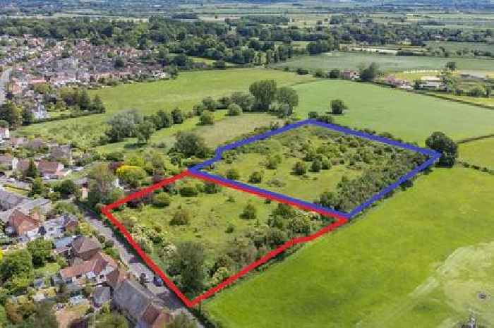 Two green fields in Somerset set to be filled with houses