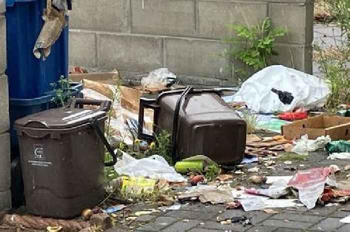 Locals are literally throwing up from the stench of scattered, rotting food waste in their town