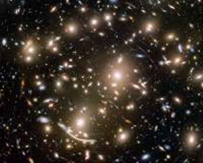 Coma Cluster's Dark Matter Origins Captured by Dark Energy Camera