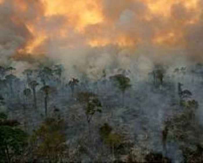 Record number of forest fires in Brazil Amazon