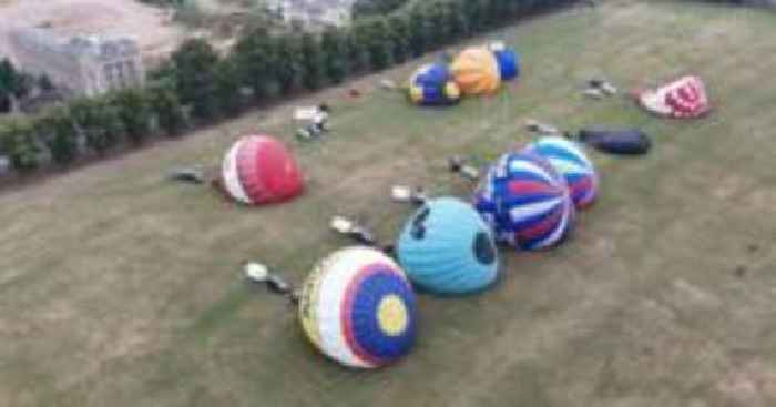 Three Bertie Bassetts descend on balloon festival