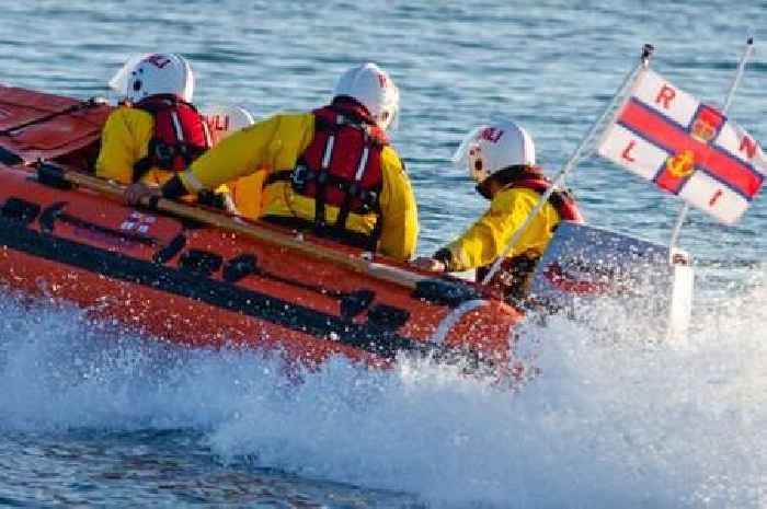 Nine rescued including inflatable llama in Devon