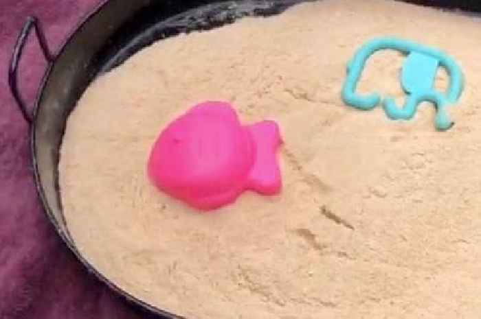 Mum hailed 'genius' for creative hack to make sand play safe for babies