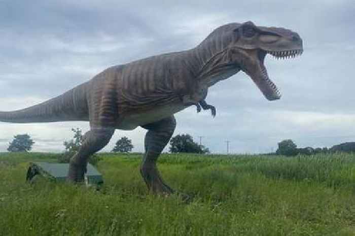 Farm with dinosaurs, maize mazes, tractor rides and soft play 20 minutes from Stoke-on-Trent