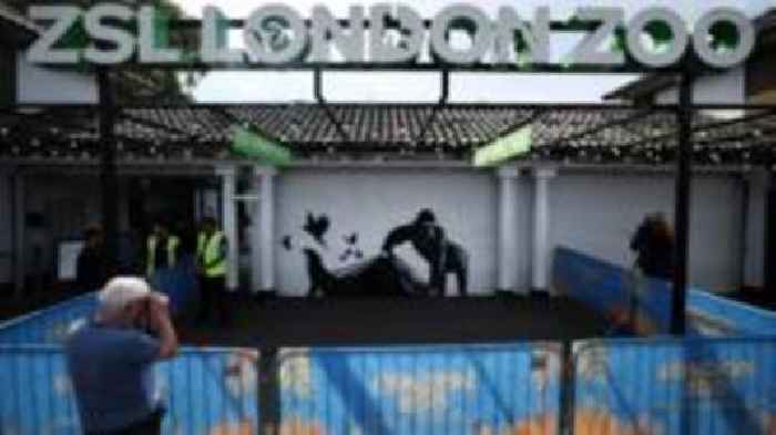 London Zoo removes Bansky work for 'safekeeping'