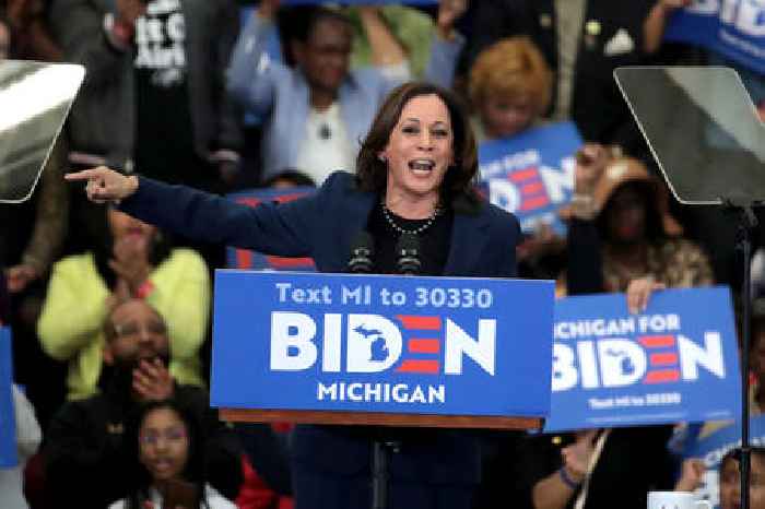 US election 2024: All you need to know about the Democrat Party convention