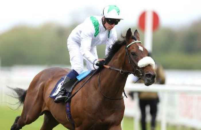 Deira to go the extra Mile in Great Voltigeur 