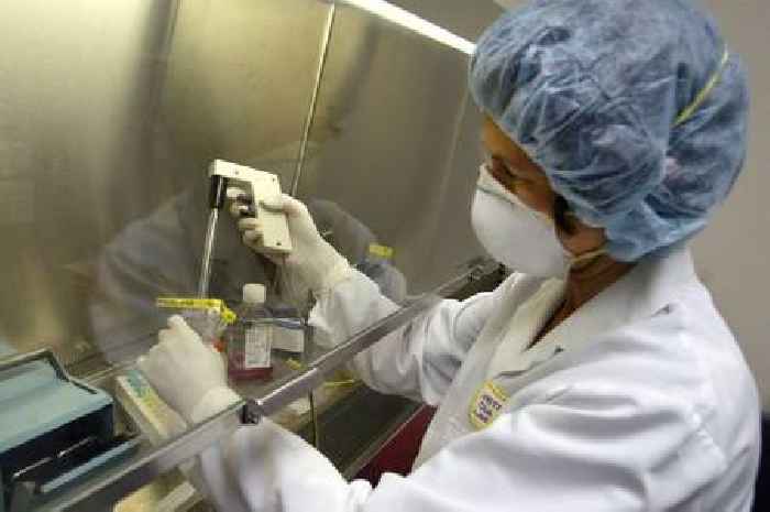 Mpox update issued by WHO as virus surges across Europe
