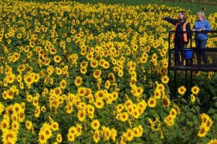 All the parts of England set to sizzle in 30C heatwave which starts 'next week'