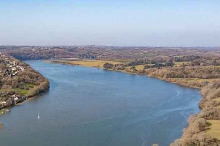 Motorboat crashes into kayak on Cleddau River in Pembrokeshire