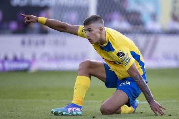 Luka Vuskovic is already showcasing why he must be in Ange Postecoglou's 2025/26 Tottenham plans