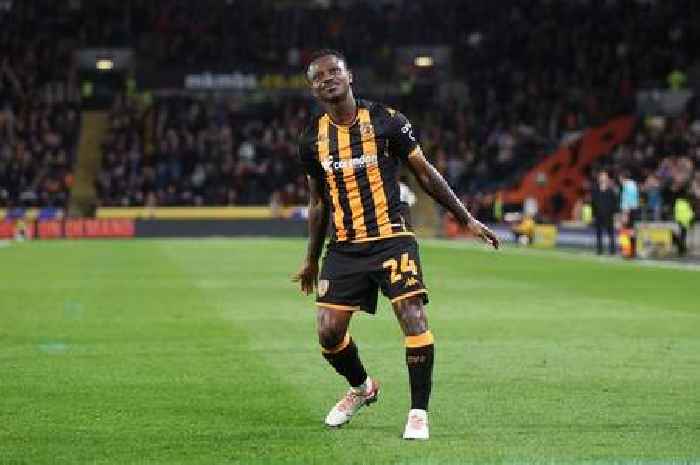 Tim Walter confirms major Hull City transfer decision as big star set to bid farewell