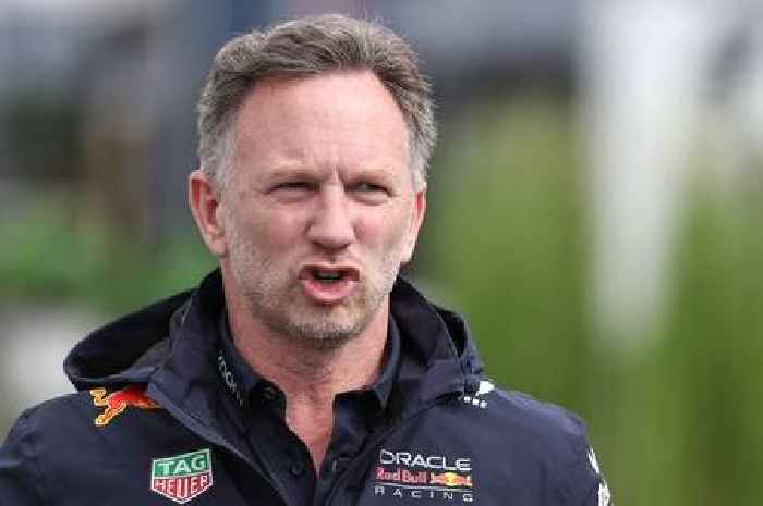 Christian Horner speaks out after F1 accuser's 'coercive behaviour' appeal fails