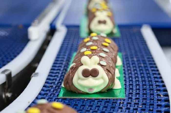 I went to the M&S cake factory to see Colin the Caterpillar being born