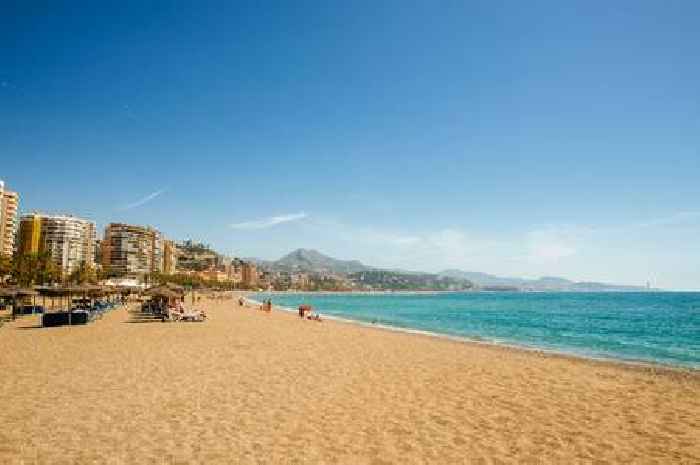 Warning to Spain holidaymakers as 7,500 treated in hospital for beach stings