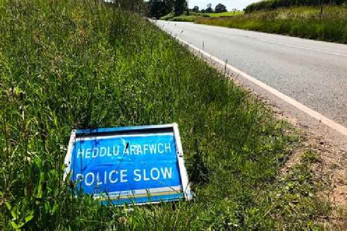 Man dies after motorbike collides with tree