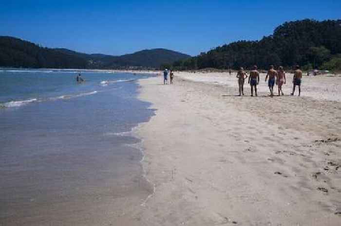 Spain issues jellyfish warning after thousands of holidaymakers treated in hospital