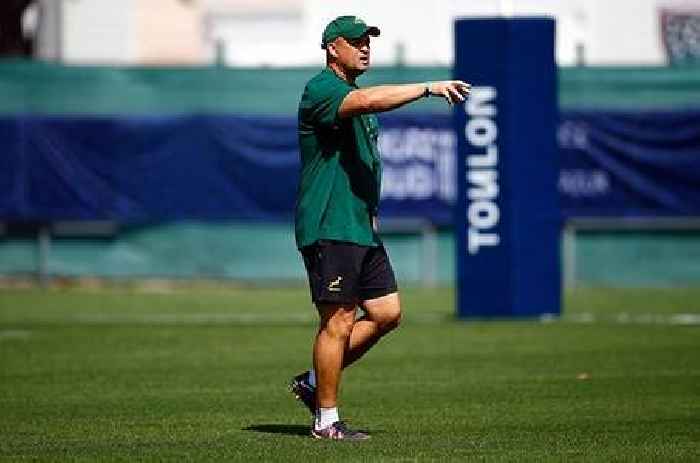 Sport | SA vs All Blacks: How the absence of key lock forwards could affect Boks' set-piece efficiency