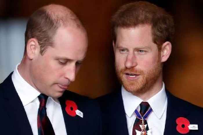 Royal expert brands Prince William and Harry’s rift 'unbridgeable'