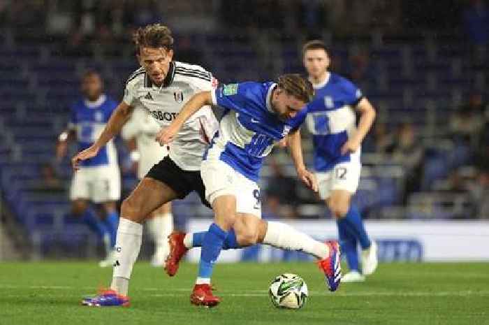 Birmingham City player ratings v Fulham as Leonard, Bielik and Paik shine in defeat