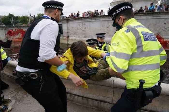 Bristol Animal Rebellion protester guilty of damaging Buckingham Palace fountain