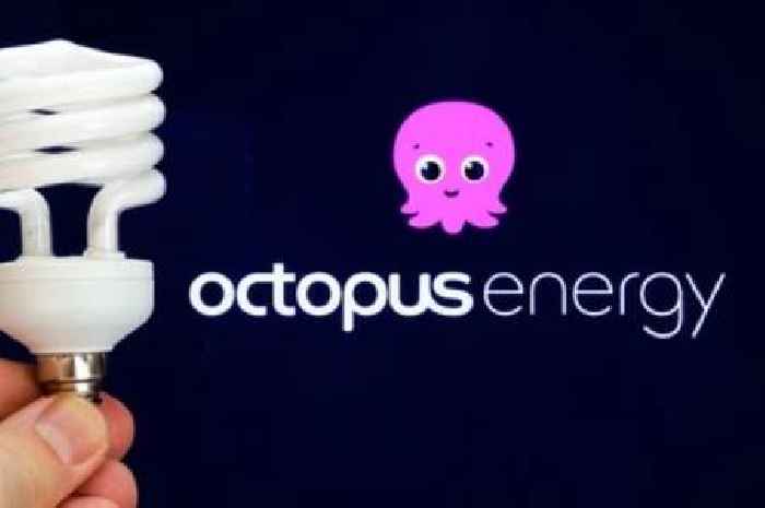 Martin Lewis' MSE sends £149 message to every Octopus Energy customer