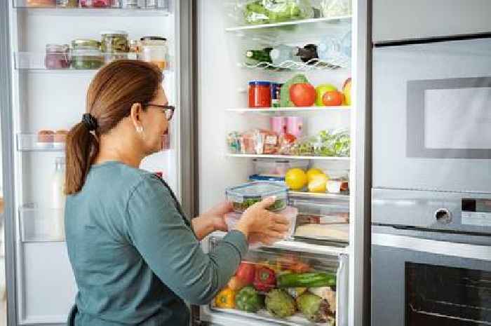 Expert shares optimal fridge and freezer temperatures to reduce energy bills this winter