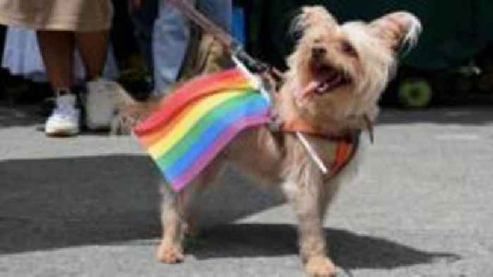 Brighton Pride cancels dog show due to heat