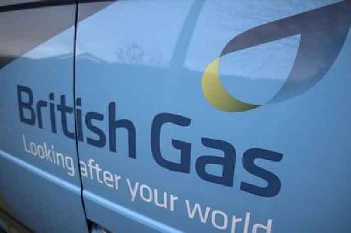 British Gas, EDF, Ovo, EON, Octopus customers who drive petrol cars will escape £884 bill