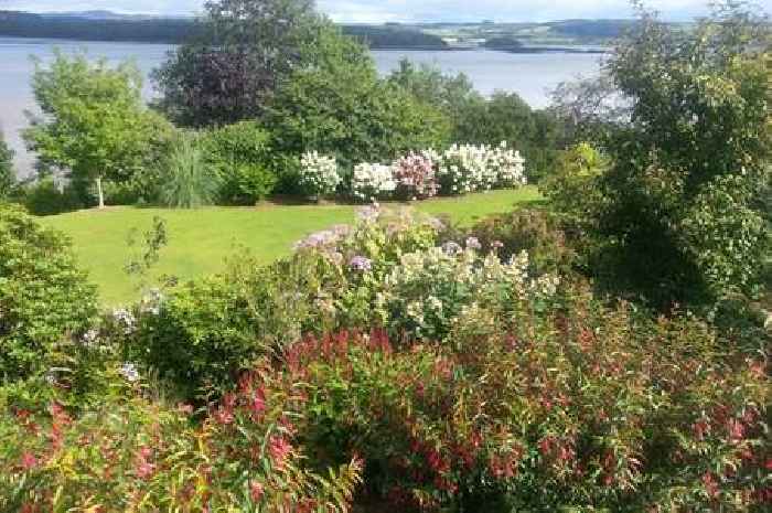 Stewartry garden to open to help Kirkcudbright Hospital and Alzheimer’s Research