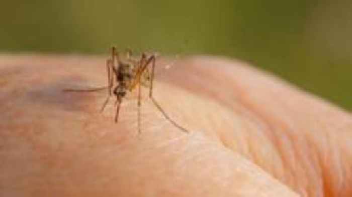 Protests in Seville as West Nile virus kills five