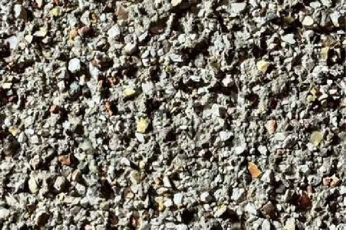 Only people with sniper vision can spot the moth hiding on this pebbledash wall