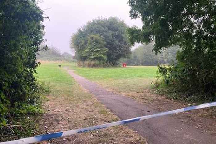 Man dies after park attack as group of kids as young as 12 arrested on suspicion of murder