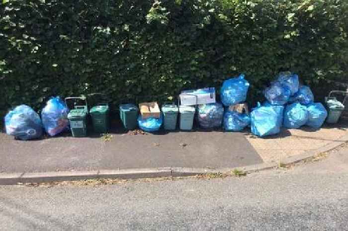 Rubbish bags piled up on streets for a week due to lack of staff