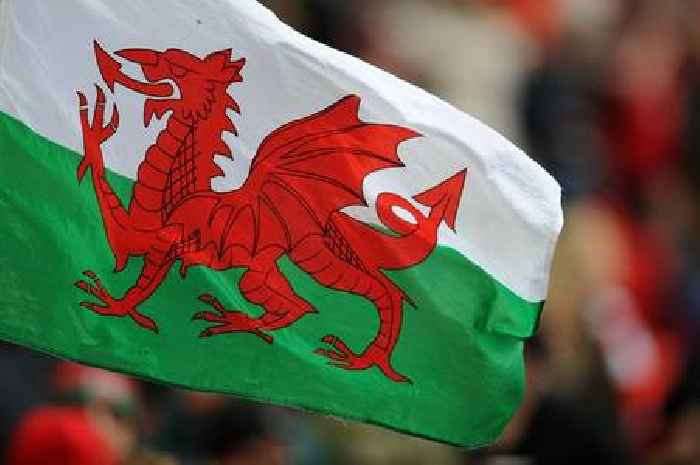 Council wants new homes to be restricted to Welsh speakers only