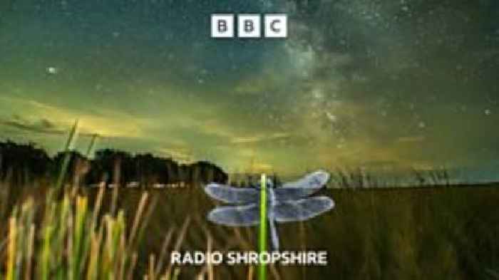 The Dragonfly, the Milky Way and the Long Mynd