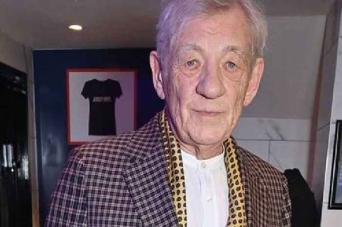 Ian McKellan says he pities Prince Harry who isn't 'bright enough to help himself'