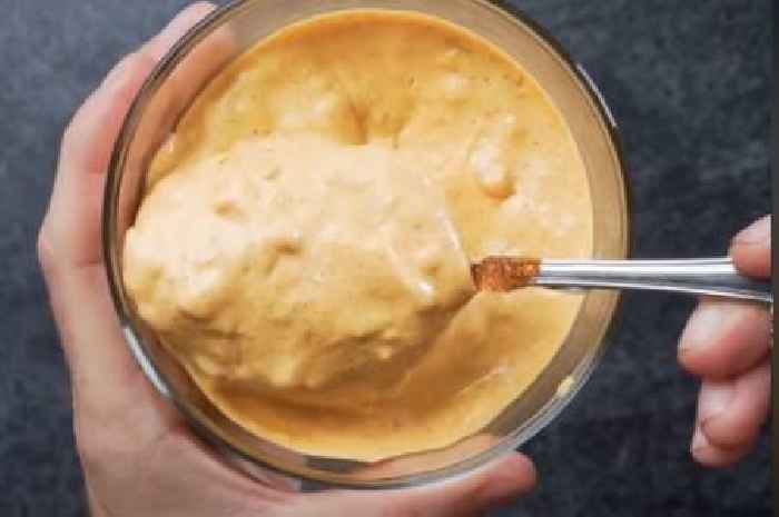 Home chef shares 'leaked' McDonald's Big Mac sauce recipe so you can make it yourself