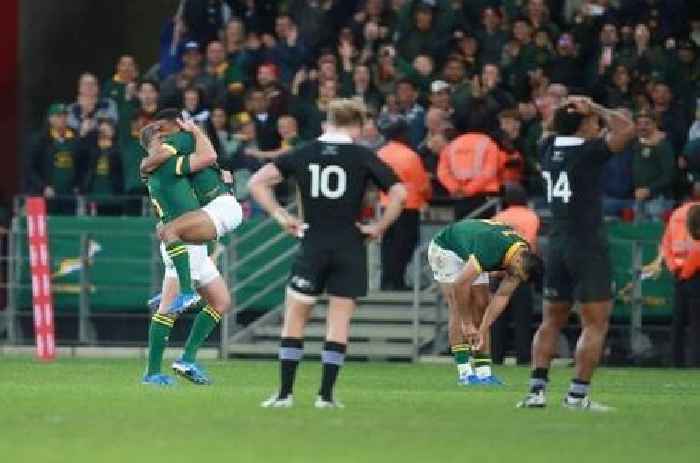 News24 | ANALYSIS | World champion Boks warming to newfound reputation as back-to-back kings