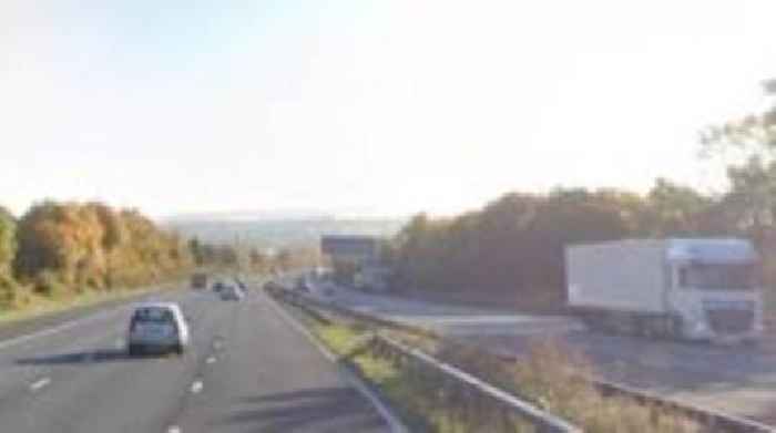 M20 in Kent closed due to 'animals' on the road