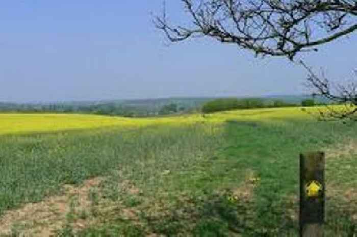 The Essex village that was once terrorised by a dragon