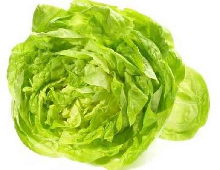 People who eat lettuce told to stick to 'midnight' rule on use-by date or risk illness