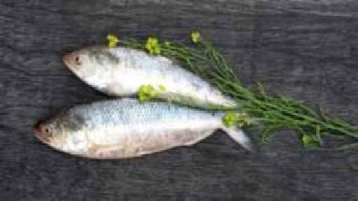 A setback for 'fish diplomacy' between India and Bangladesh?